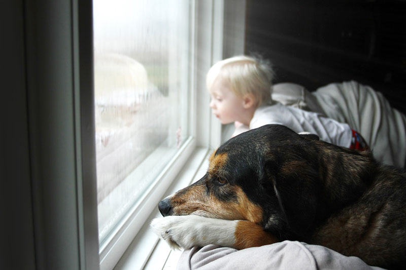 Shipton's Heating and Cooling provides Hamilton homeowners with 4 furnace warning signs they need to watch for this spring.