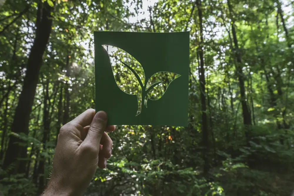 Green and Cool: Embrace Eco-friendly Air Conditioning Options for the Modern Home - Hand holding an eco-friendly green living symbol